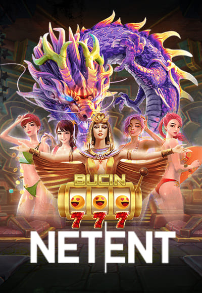 smm-pg-soft cover image png